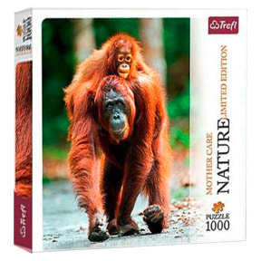 Orangutan, Indonezia, 1000 elemente