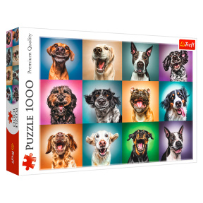 Смешные портреты собак, 1000 элементов