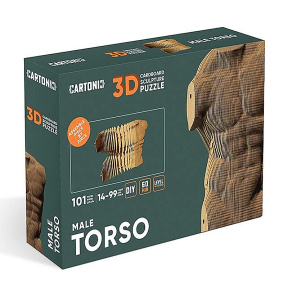 3D Puzzle Sculptură MALE TORSO