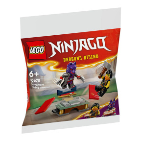 Constructor LEGO Teren de antrenament