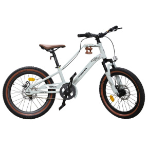Bicicletă pentru copii Forever 20, gri