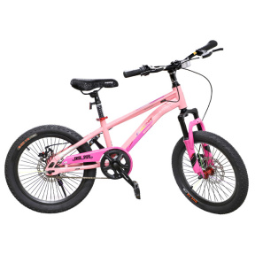 Bicicletă pentru copii cu 2 roți, 18 inch, roz