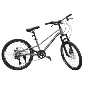 Bicicletă pentru copii cu 2 roți, 22 inch, gri