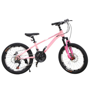 Bicicletă pentru copii cu 2 roți, 20 inch, roz