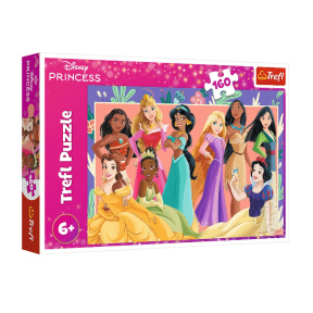 Puzzle "160" - Real princesses / Disney Princess