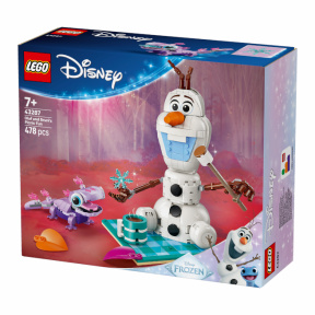 Конструктор LEGO Disney Пикник Олафа и Бруни