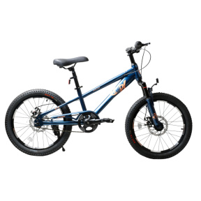 Bicicletă pentru copii cu 2 roți, 20 inch, albastră