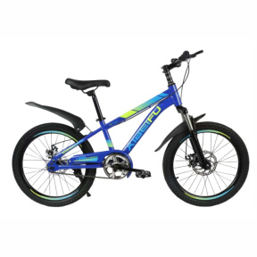 Bicicletă pentru copii cu 2 roți, 20 inch, albastră