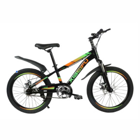 Bicicletă pentru copii cu 2 roți, 20 inch, verde